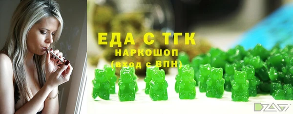 молекула духа Богородицк