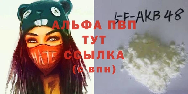 метадон Богданович