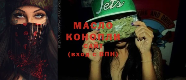 молекула духа Богородицк