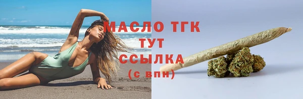 метадон Богданович