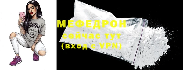 молекула духа Богородицк
