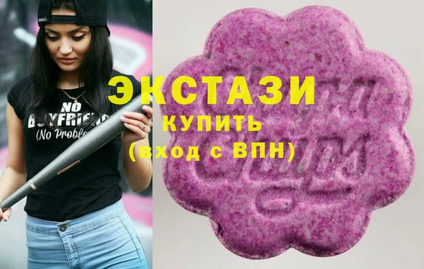 молекула духа Богородицк
