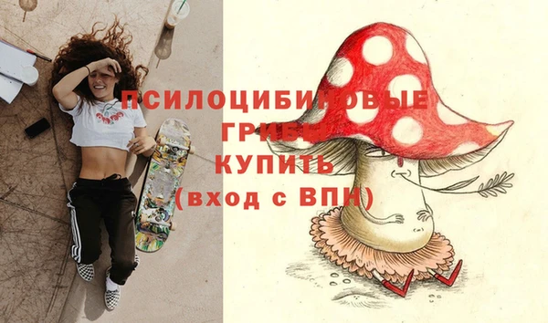 молекула духа Богородицк