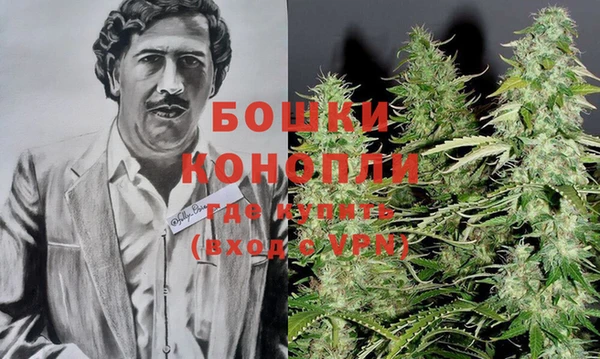 метадон Богданович