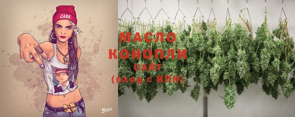 молекула духа Богородицк