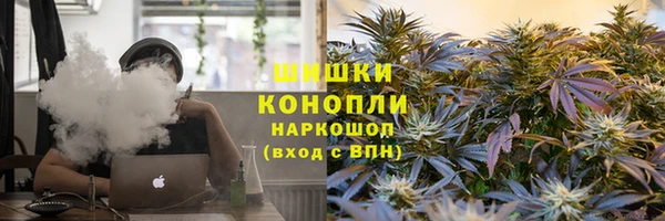 метадон Богданович