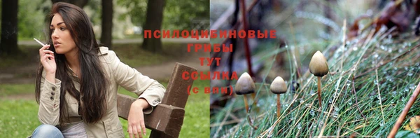 MDMA Богородск