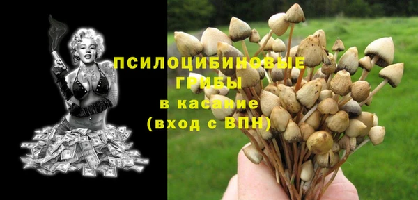 молекула духа Богородицк