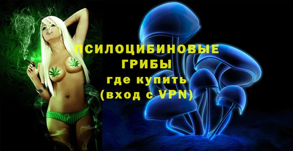 метадон Богданович