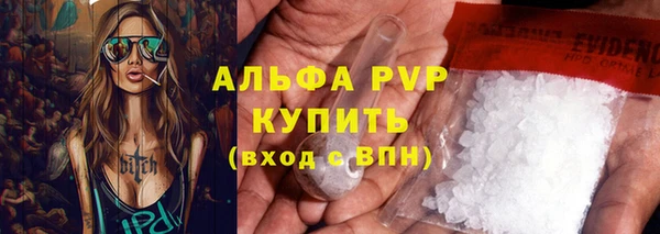 молекула духа Богородицк