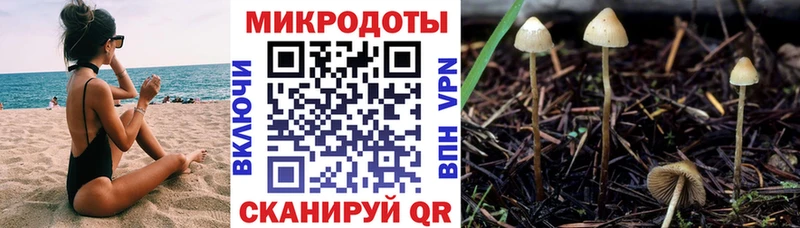 Галлюциногенные грибы GOLDEN TEACHER  ссылка на мегу tor  Омск 